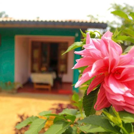 Yoho Nilmini Homestay エッラ エクステリア 写真
