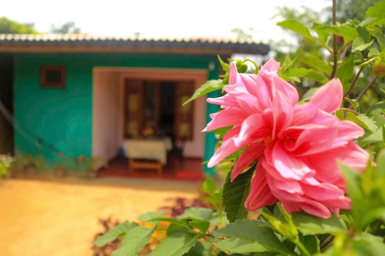 Yoho Nilmini Homestay エッラ エクステリア 写真